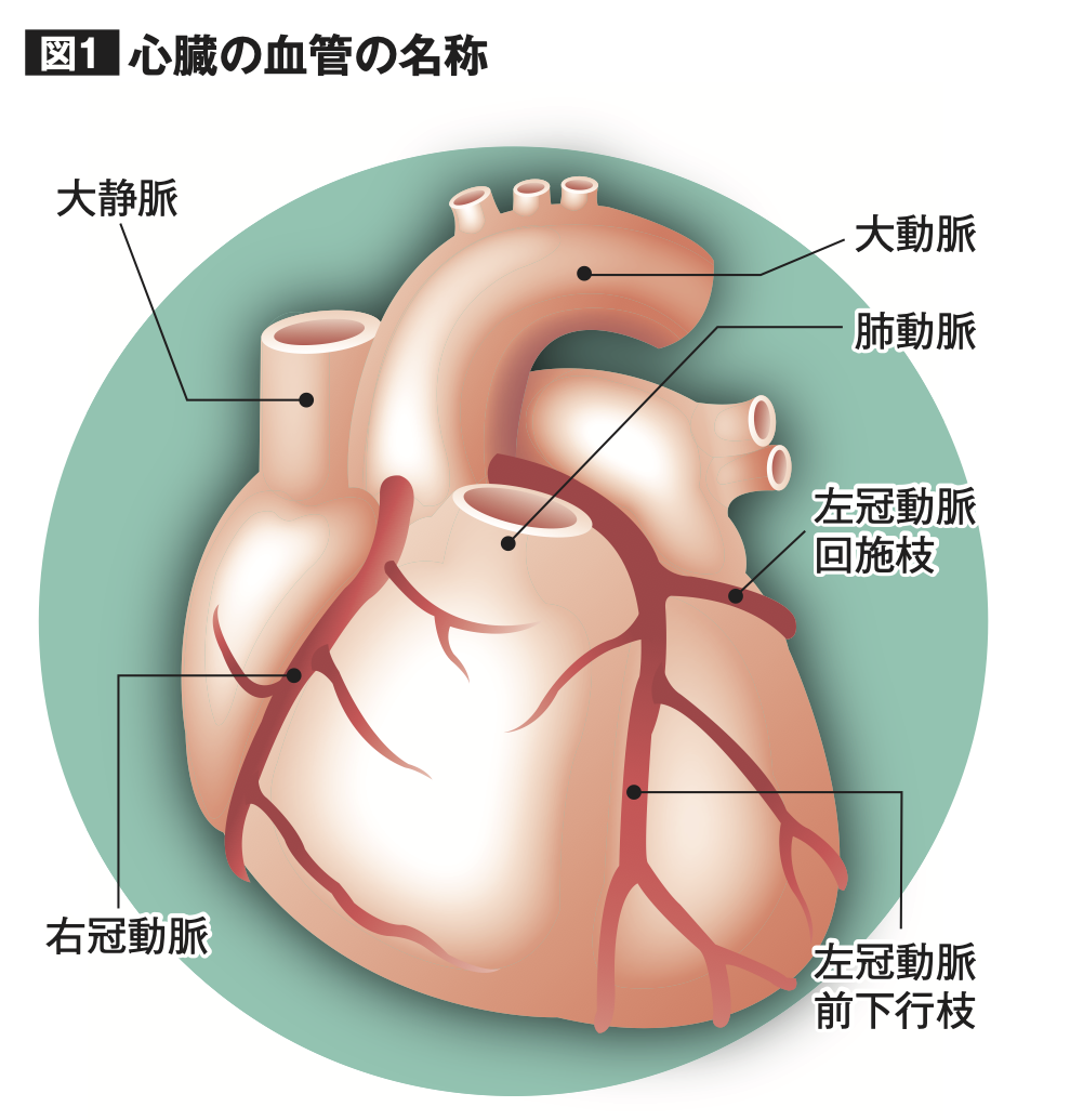 専門治療 循環器内科 仙台厚生病院